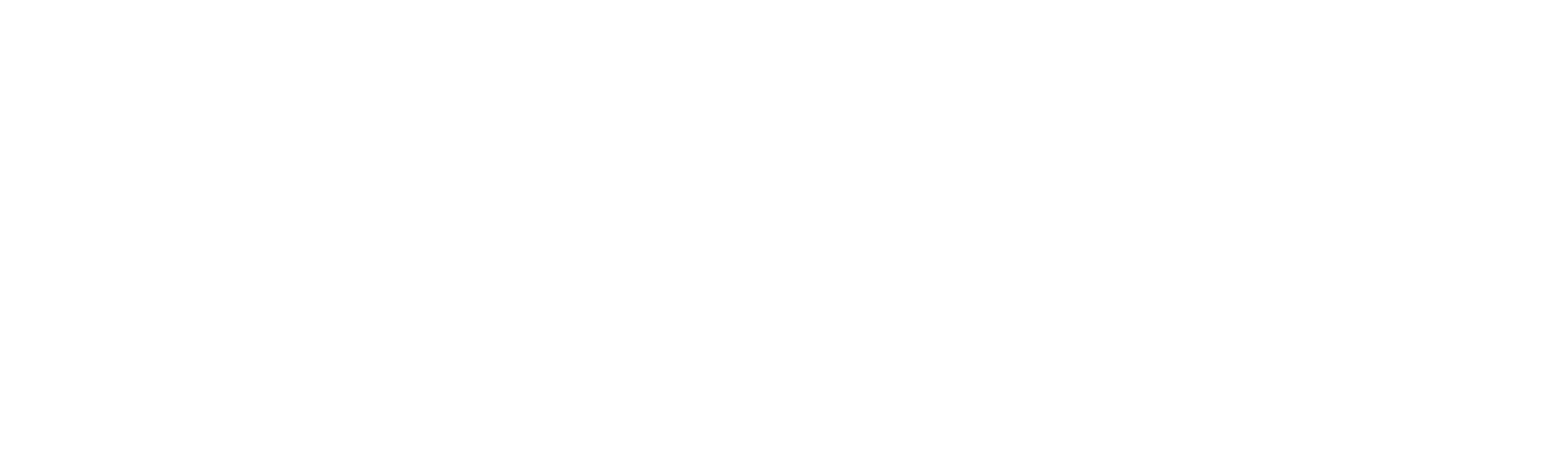 Shnayder Law LLC logo